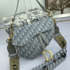 Christian Dior Saddle bag